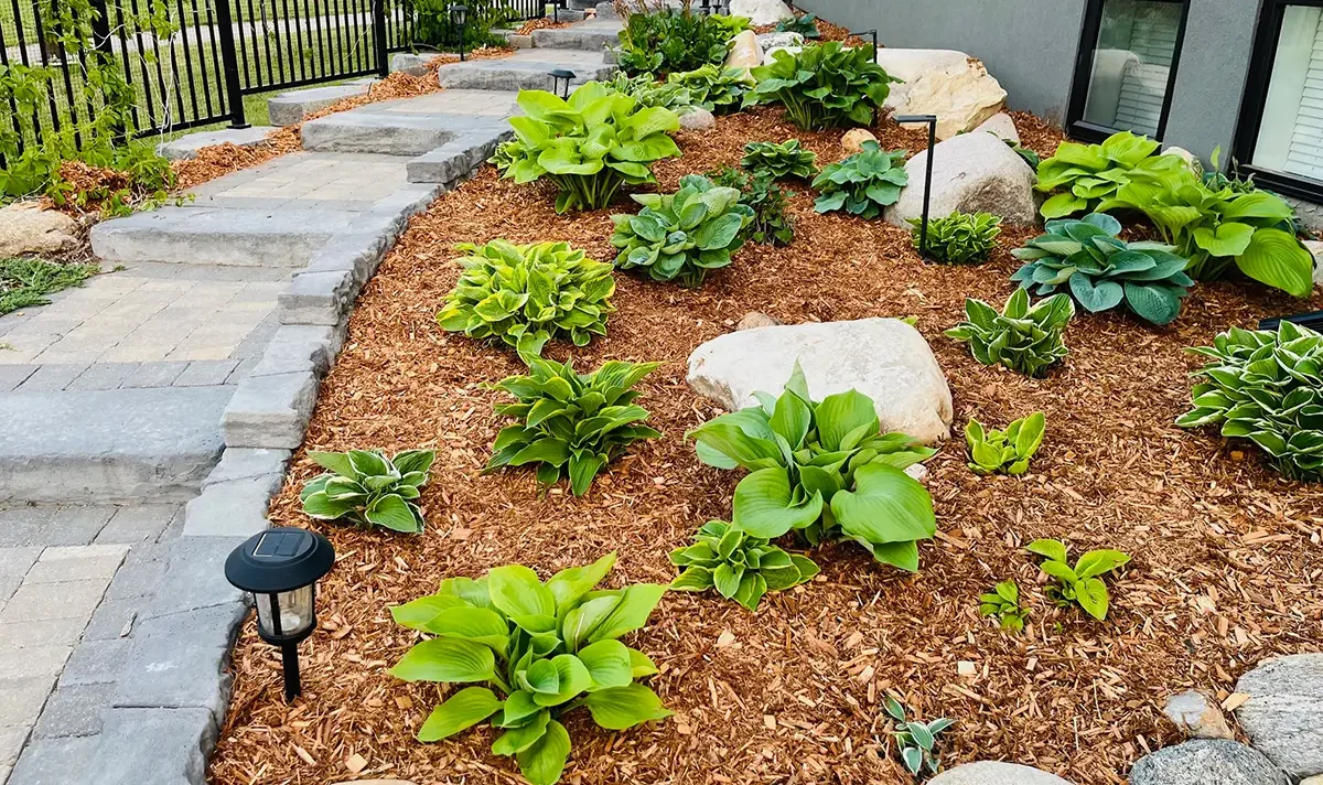 LANDSCAPING IN SASKATOON